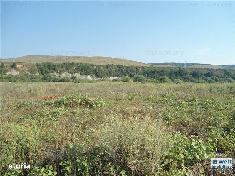 Teren intravilan in Floresti