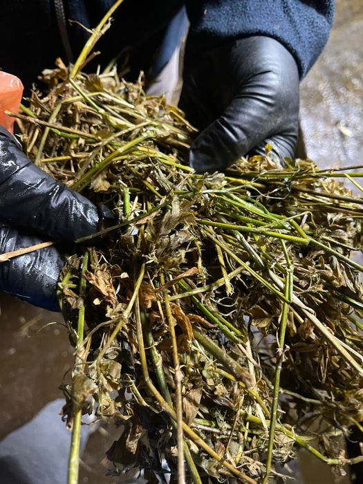 Lucerna infolita coasa a 5 vand sau schimb