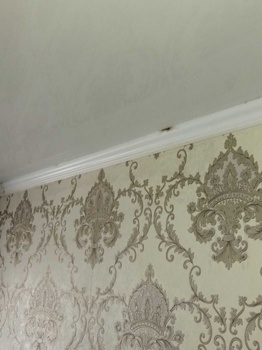 Дезинсекция , дератизация