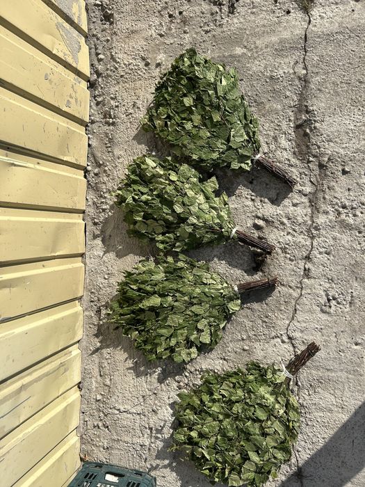 Березовые Банные веники