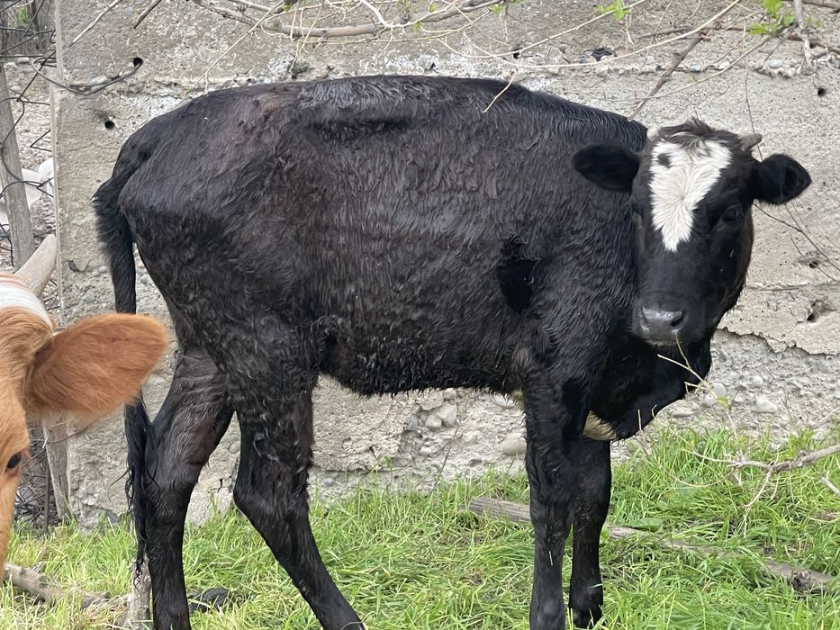 Продам 320000 торг есть