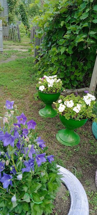 Продам дачу СО "колос"