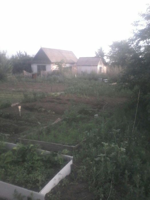 Сад металлург данный участок