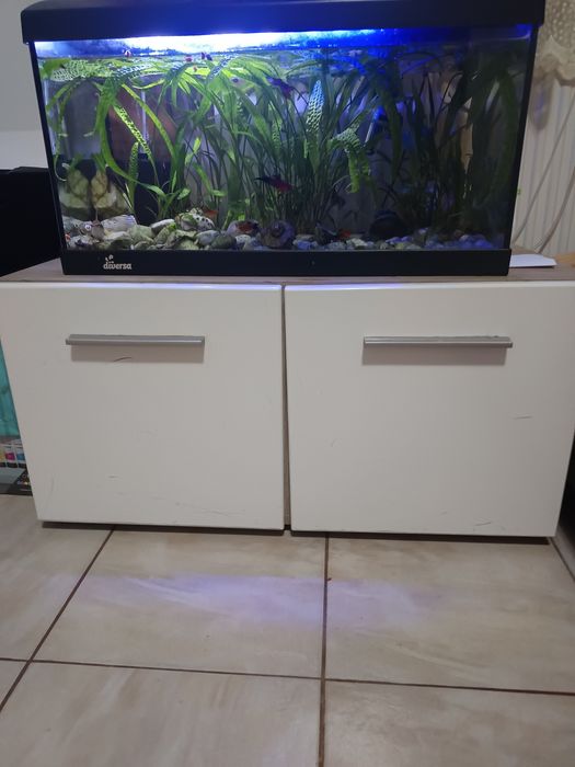 Vând acvariu 50 litri
