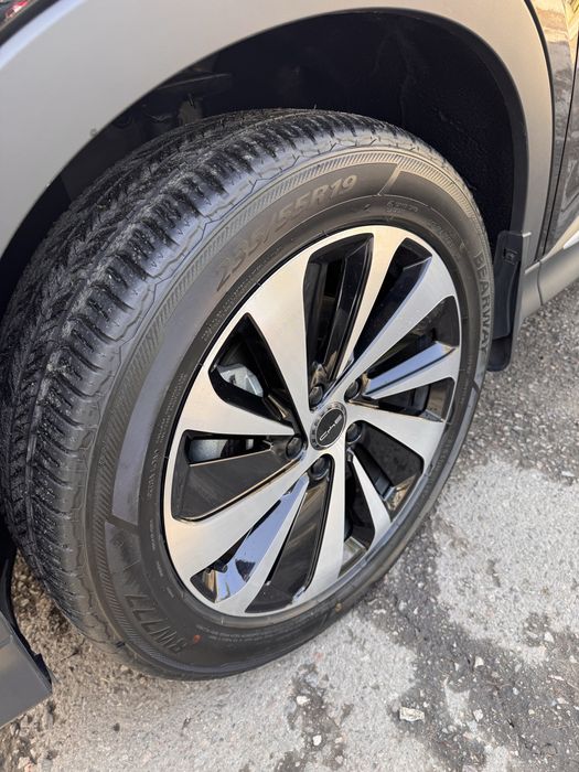 Byd champion 2023. Tozza