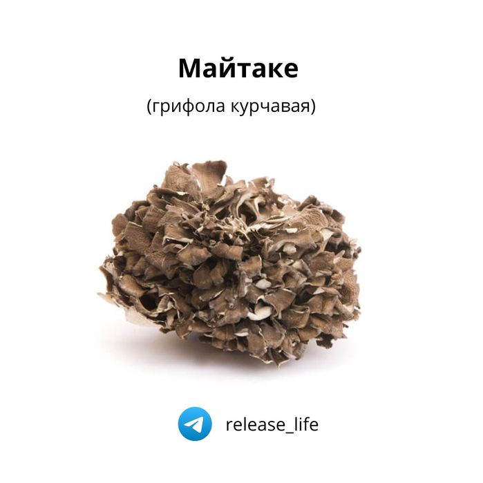 Сушеные лечебные грибы