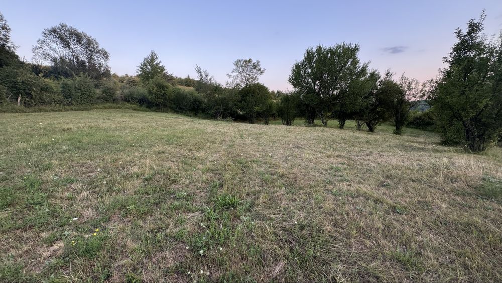 Teren de vanzare extravilan