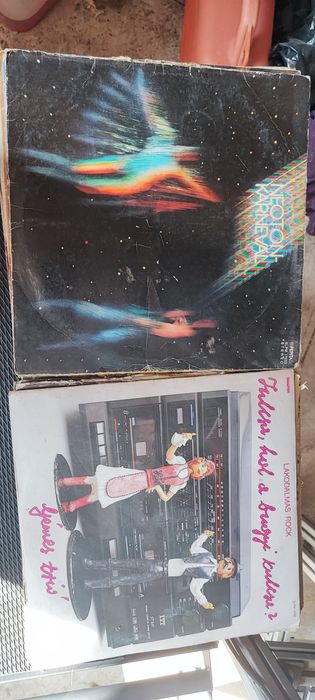 Disc vinil 27 mare sí 10 mic
