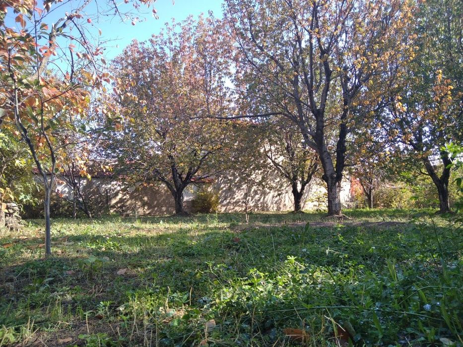 Загородный Огромный дом