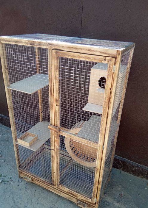 Клетка для белки, белок, белочек