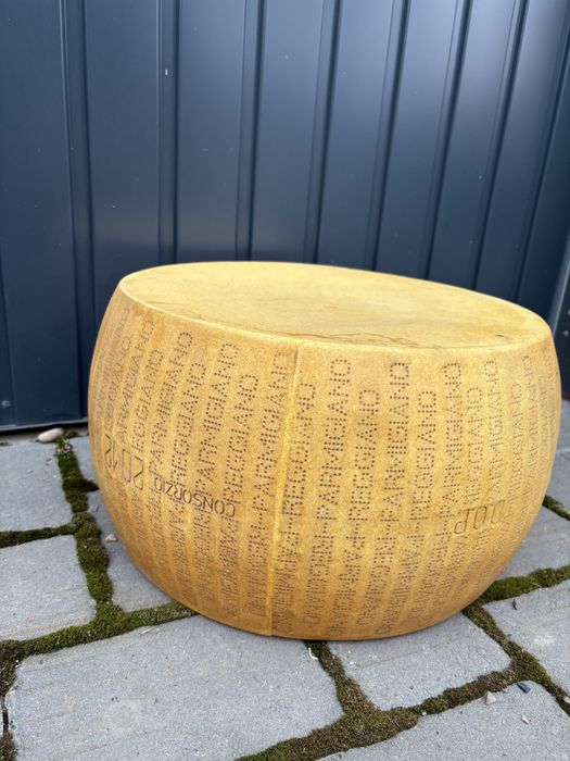 Reggiano Parmigiano Magazin Display Plastic Fals Brânză Parmesan 40,6 cm