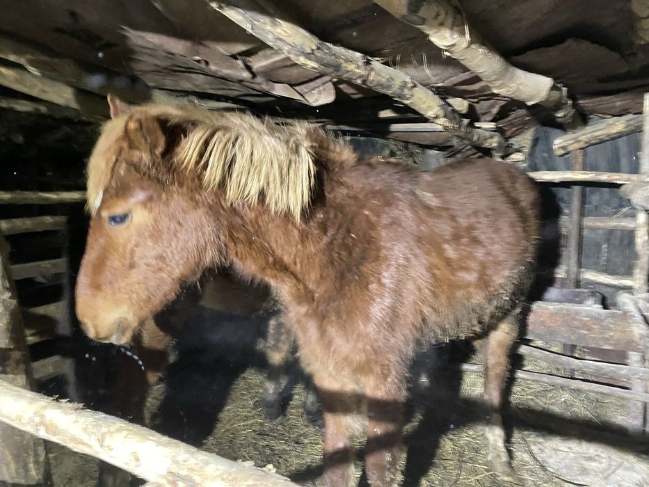 Продам 2-тай