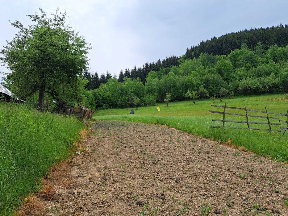 Casa cu teren si padure
