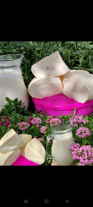 Продам брынзу и молоко