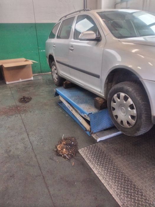 шкода октавия 1.9/2.0 tdi skoda octavia 1.9тди на части