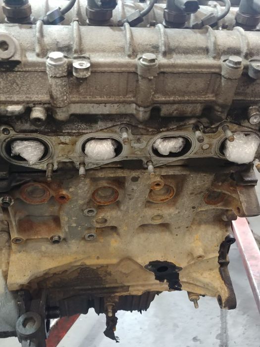 motor 1.9 jtd 937a5000 alfa romeo 147 156 gt fiat bravo 2 198 stilo 192