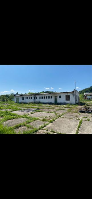 Fermă avicolă completă 22.446 mp teren + 8.000 mp hale