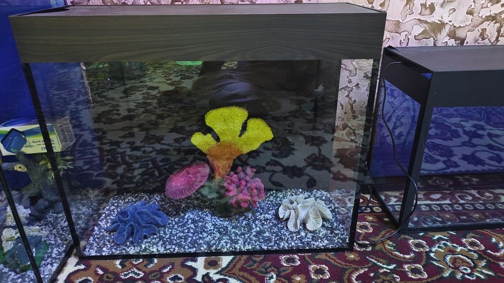 Akvariumlar sotiladi