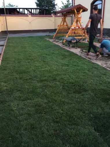 Gazonul Rulou Premium - Alegerea Perfectă pentru Grădina Ta!