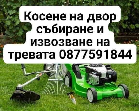 Косене  Цени по договаряне след оглед Бързо и качествено 0877591844