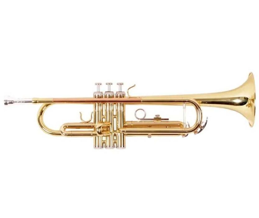 Trompeta Slade Aurie + Geanta Transport