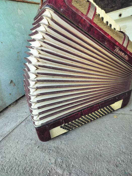 Аккардеон Traviata