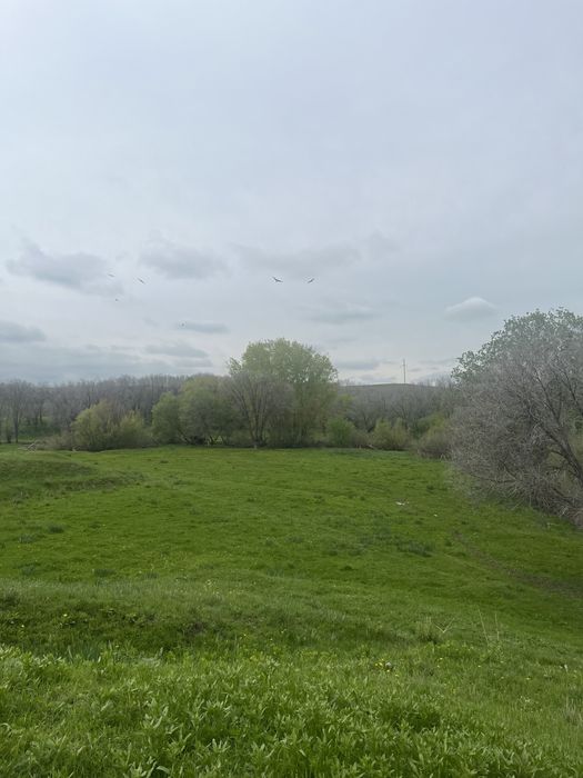 Продается Фазенда | Кашар сатылады