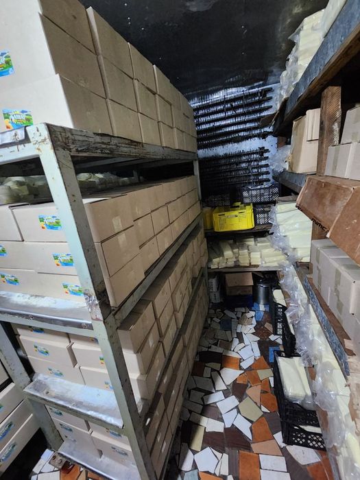 Сыр кашар оптом заводдан