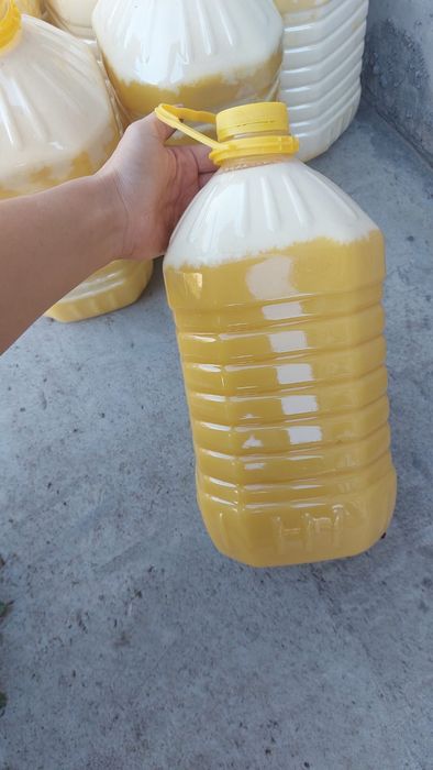 Мед подсолнух , 1200 тенге за килограм, 8400 -5 литров