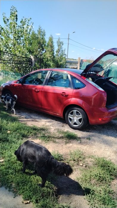 FORD Focus 2008 — imagine 4