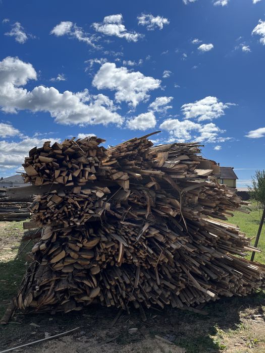 Cherestea rasinoase !