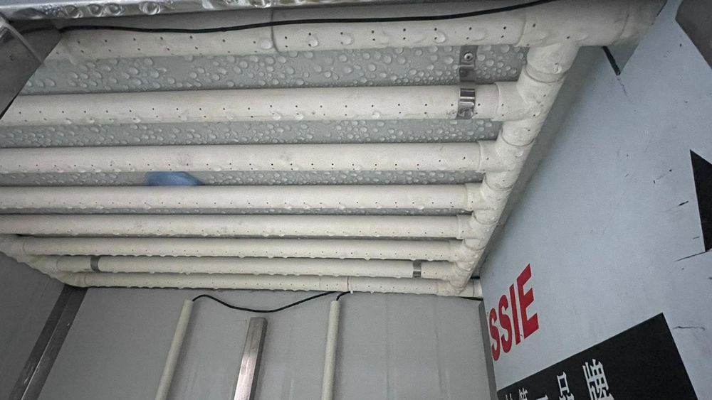 Автоматический инкубатор для соевых ростков