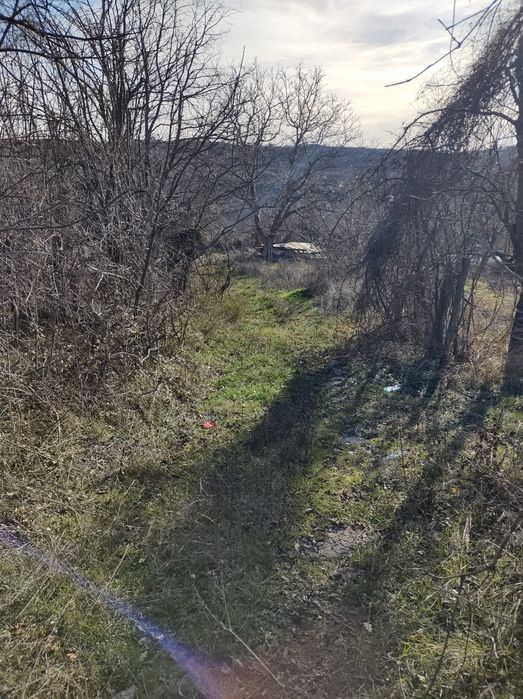 Земеделски имот Шереметя