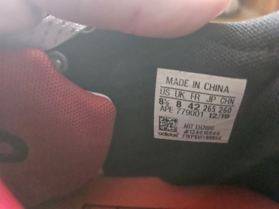 Derrick Rose, D Rose 10