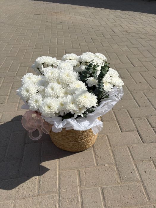 цветы хризантемы свежие