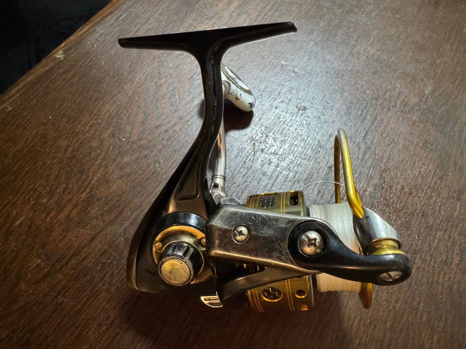 Mulineta ryobi arctica 3000