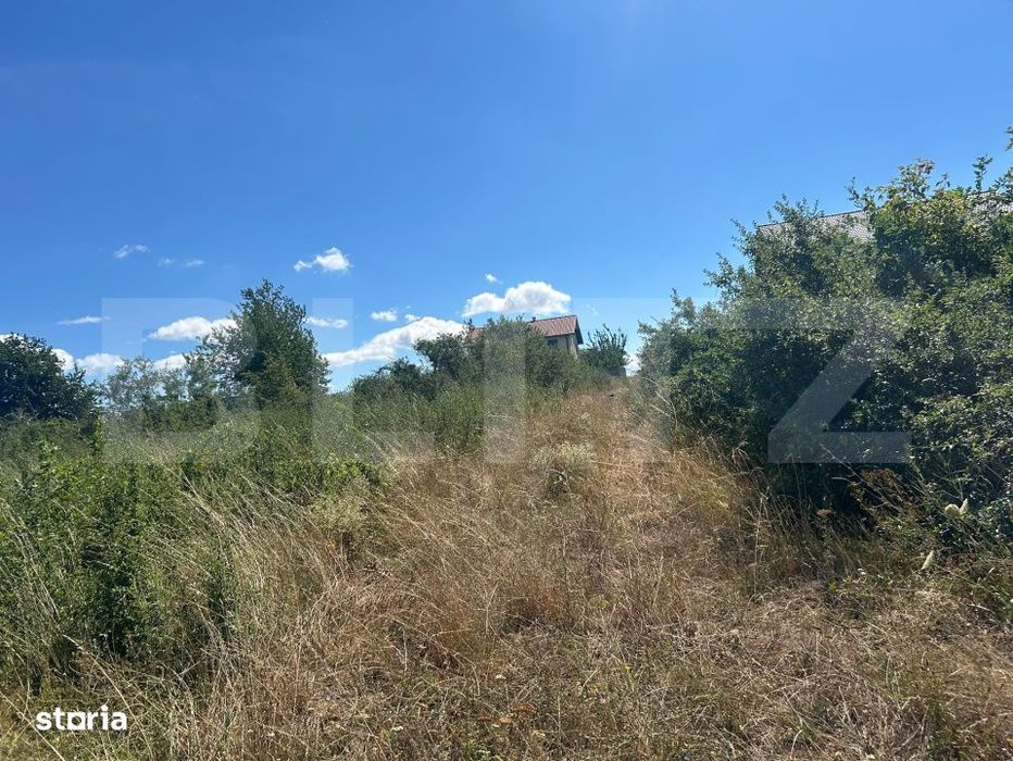 Teren Intravilan de vanzare