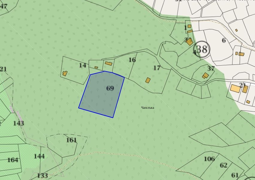 Дървопроизводителна гора 5.7дка. над кв.Долни Воден общ.Асеновград