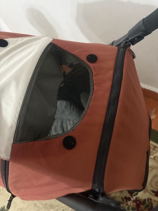Срочно продам коляска jole