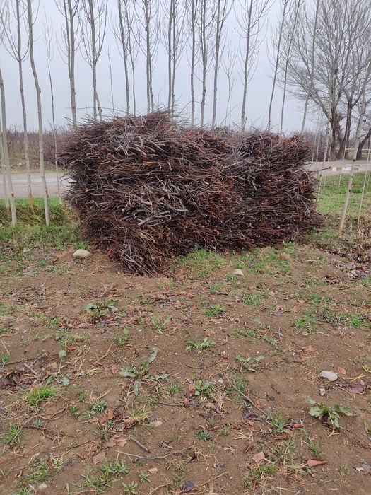 Утинлар сотилади срочно.