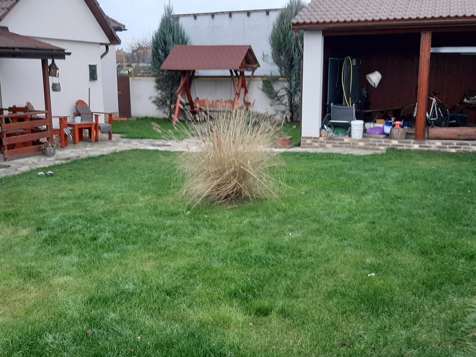 Casa Arad, bunac