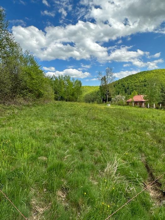 Teren intravilan 3554 mp in Negreni