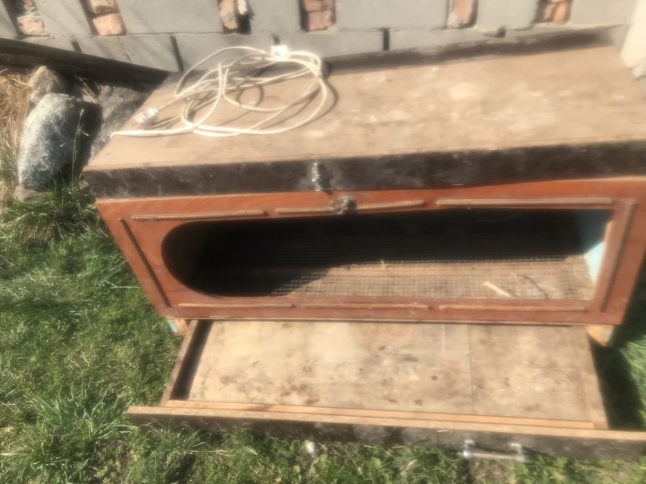 Брудер для цыплят