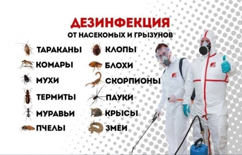 20% Скидка Дезенфекция дизенфекция дезинфекция дизинфекцияdizinfeksiya