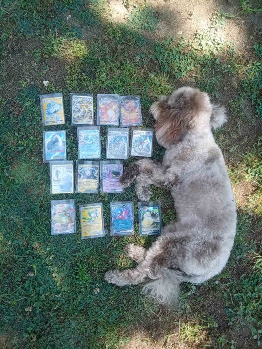 15 Pokémon cards