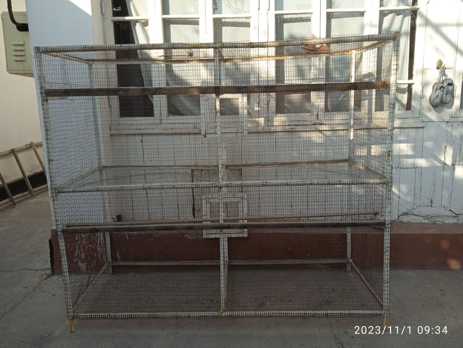 Qushga qafasi bor sotiladi