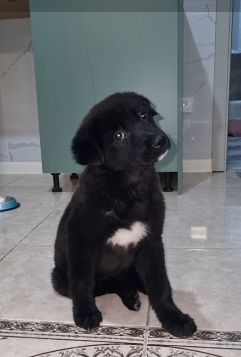 Малышка ищет мампап. Доставлю!