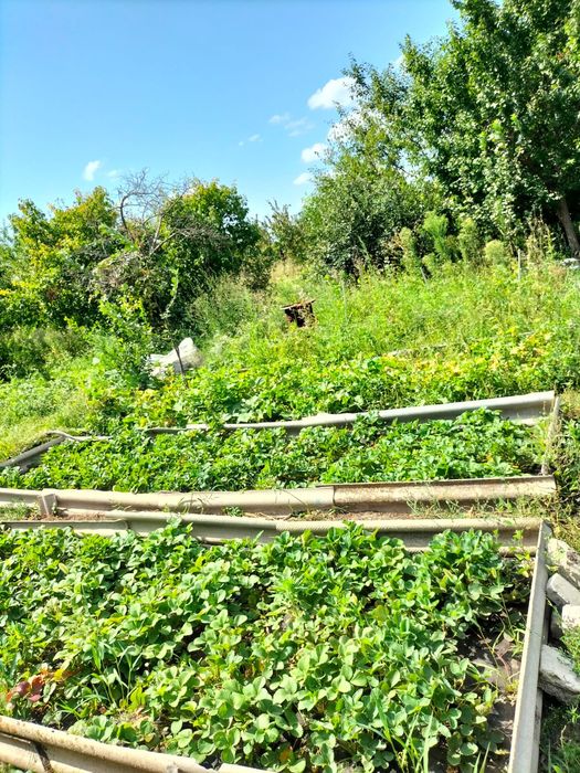 Продается дача районе кардиология