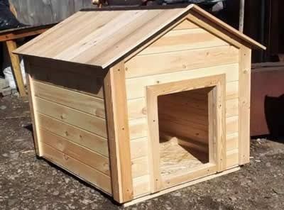 Будки для всех пород