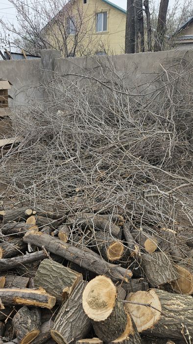 Древесина/Дерево